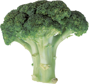 Broccoli PNG-72939